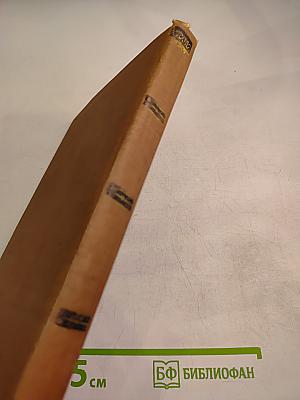 Доктор Паскаль. Том 16