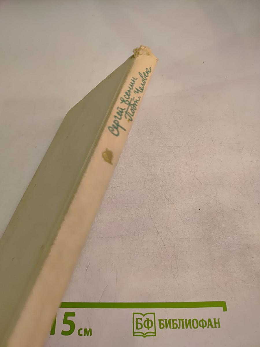 Сергей Есенин. Поэт. Человек.