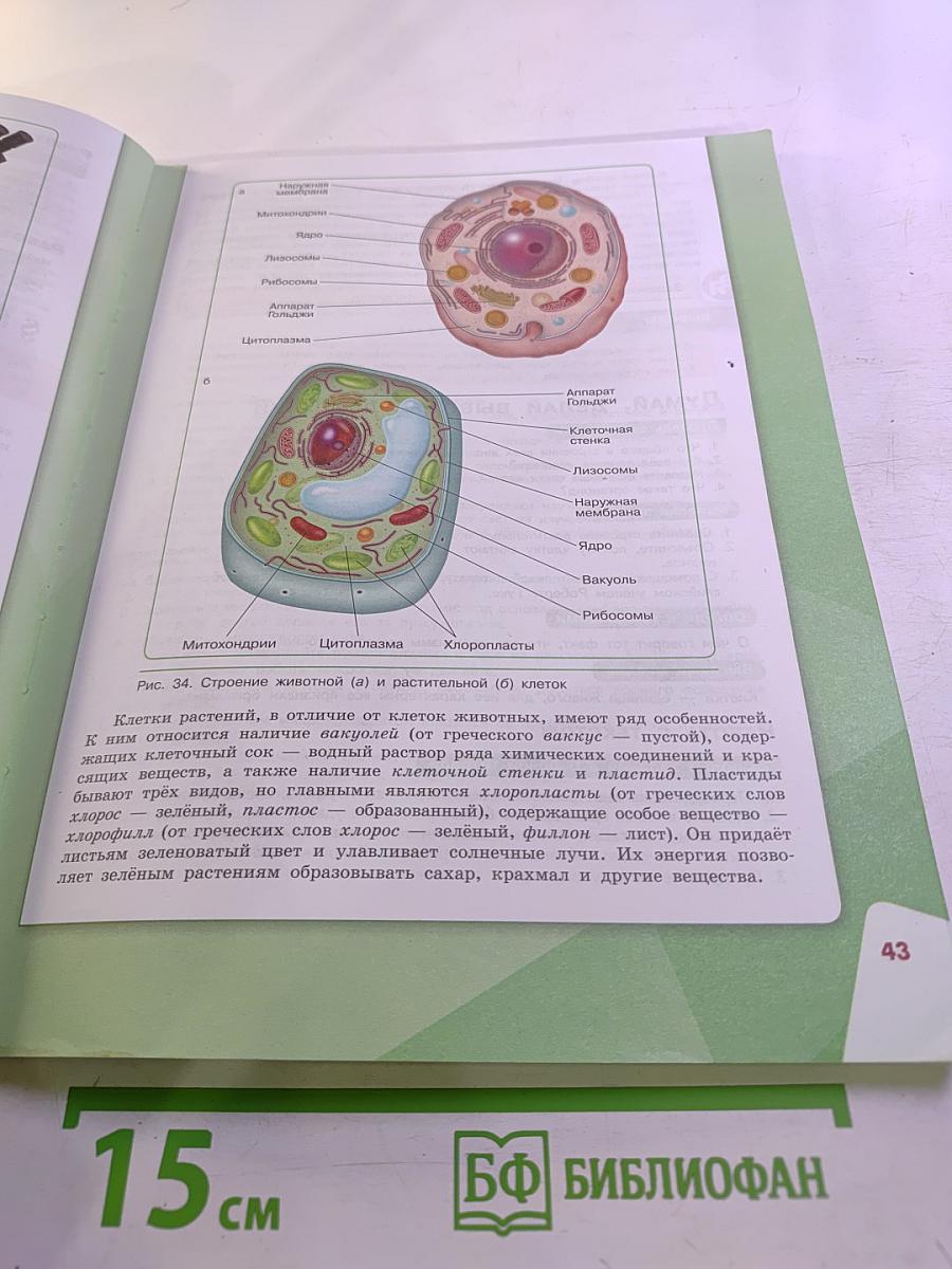 Биология 5 класс