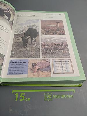 Животные. Полная история эволюции (Детское справочное бюро. Энциклопедия для любознательных)