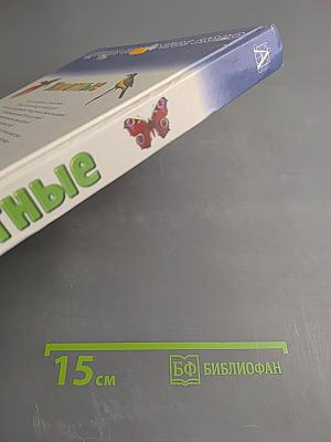 Животные. Полная история эволюции (Детское справочное бюро. Энциклопедия для любознательных)
