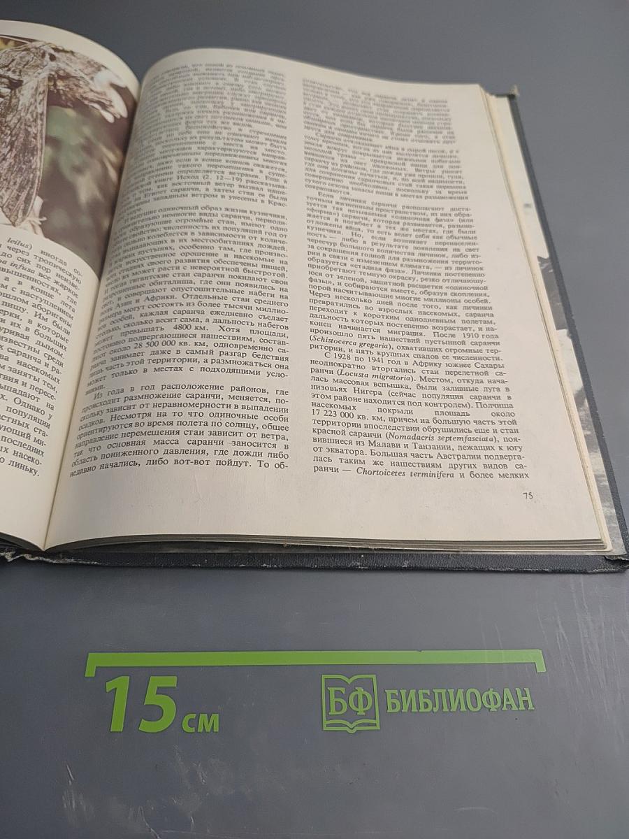 Миграция животных