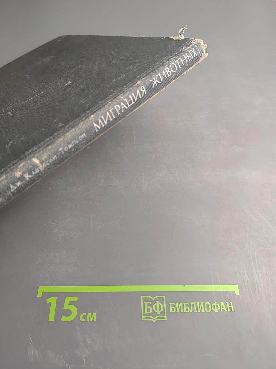 Миграция животных