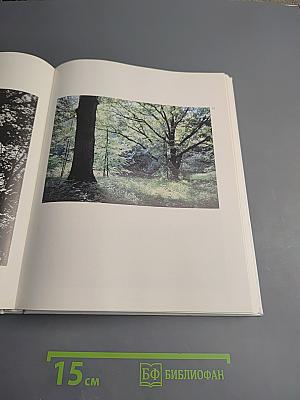 В краю великих вдохновений