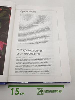 Цветы