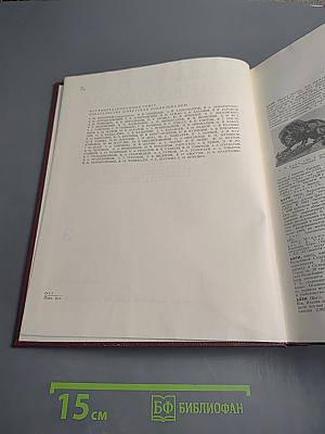 Большая Советская Энциклопедия. Том 3: Бари - Браслет