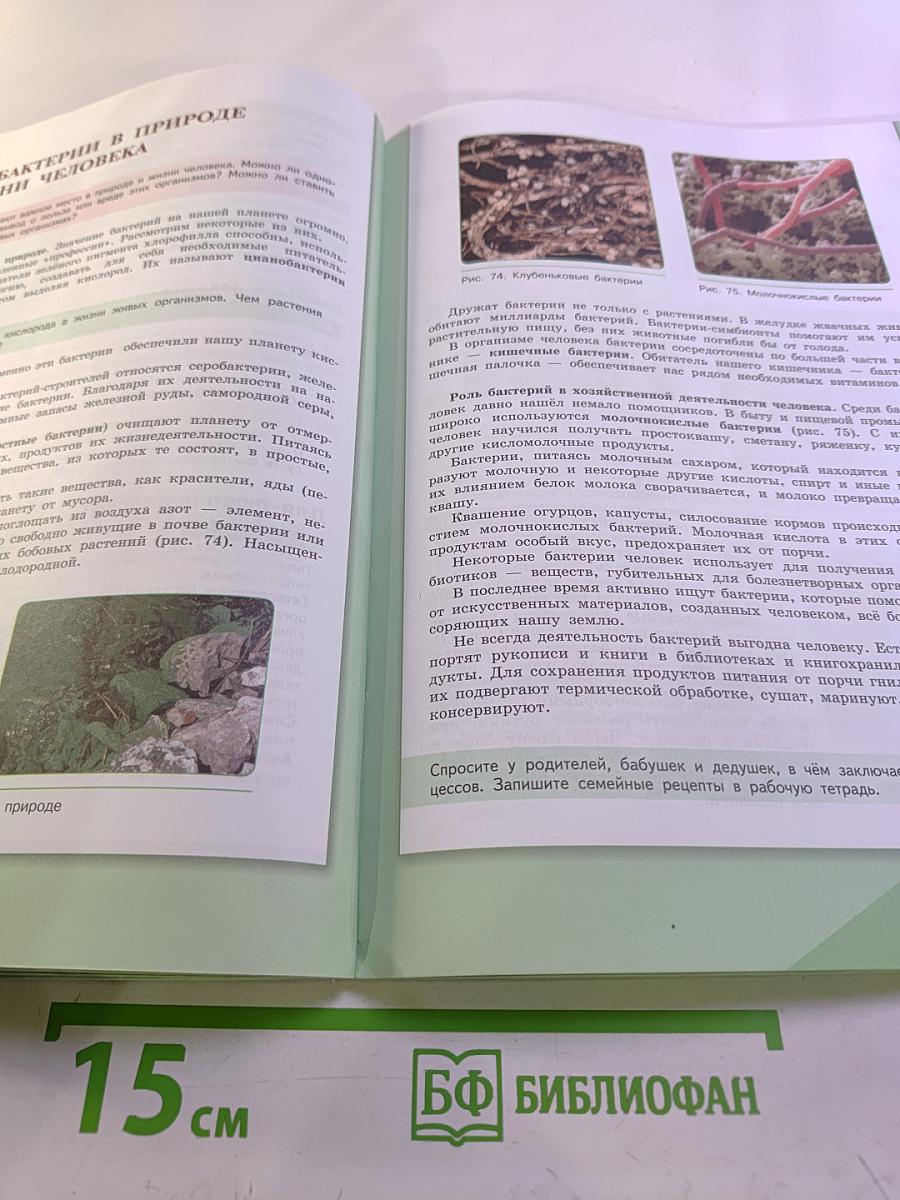 Биология 5 класс