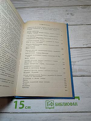 Каникулы в стране сказок