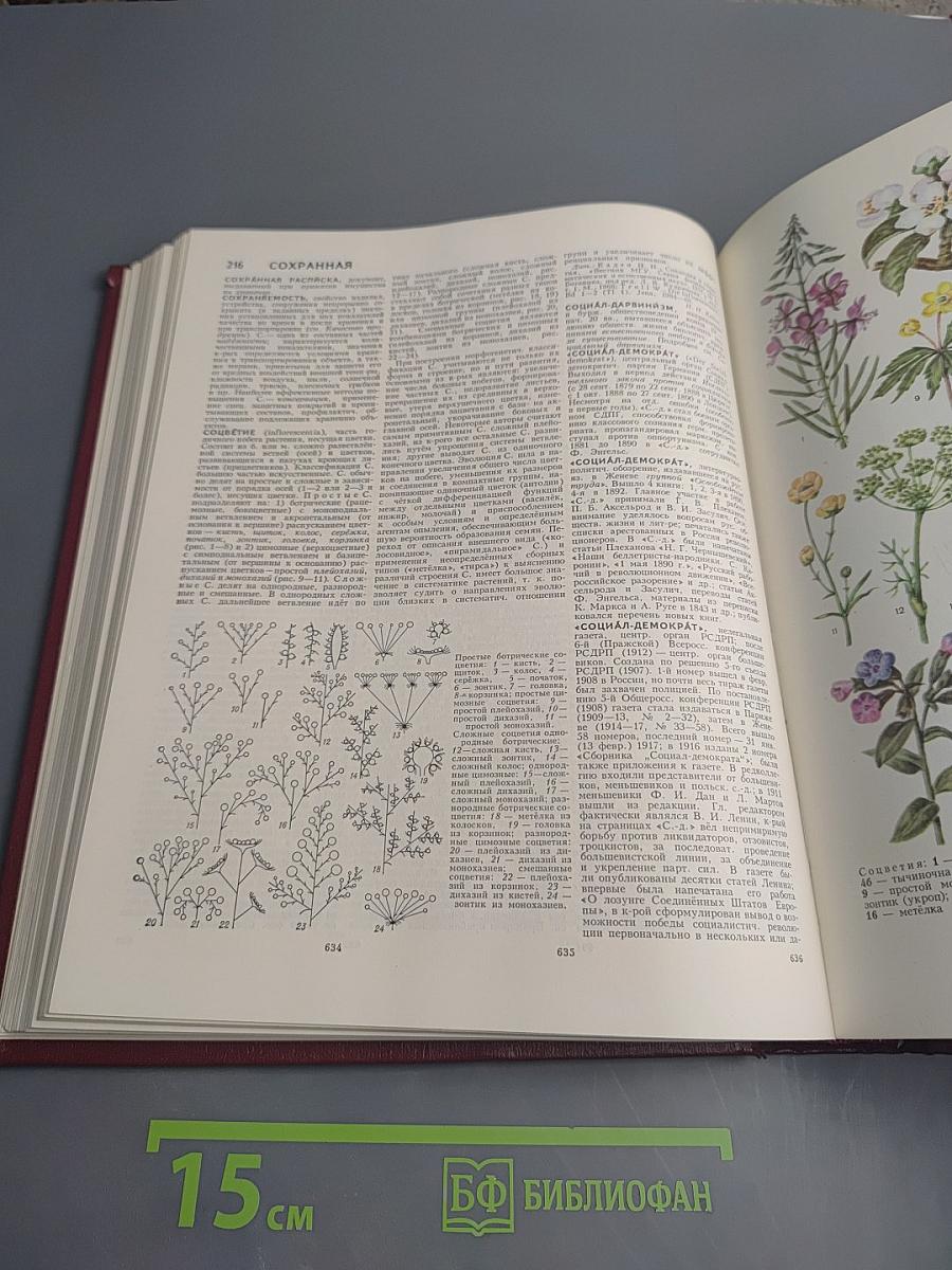 Большая Советская Энциклопедия. Том 24: Собаки — Струна