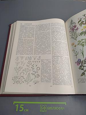 Большая Советская Энциклопедия. Том 24: Собаки — Струна