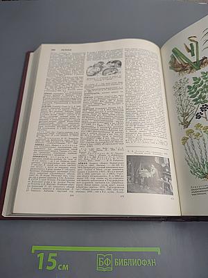 Большая Советская Энциклопедия. Том 14