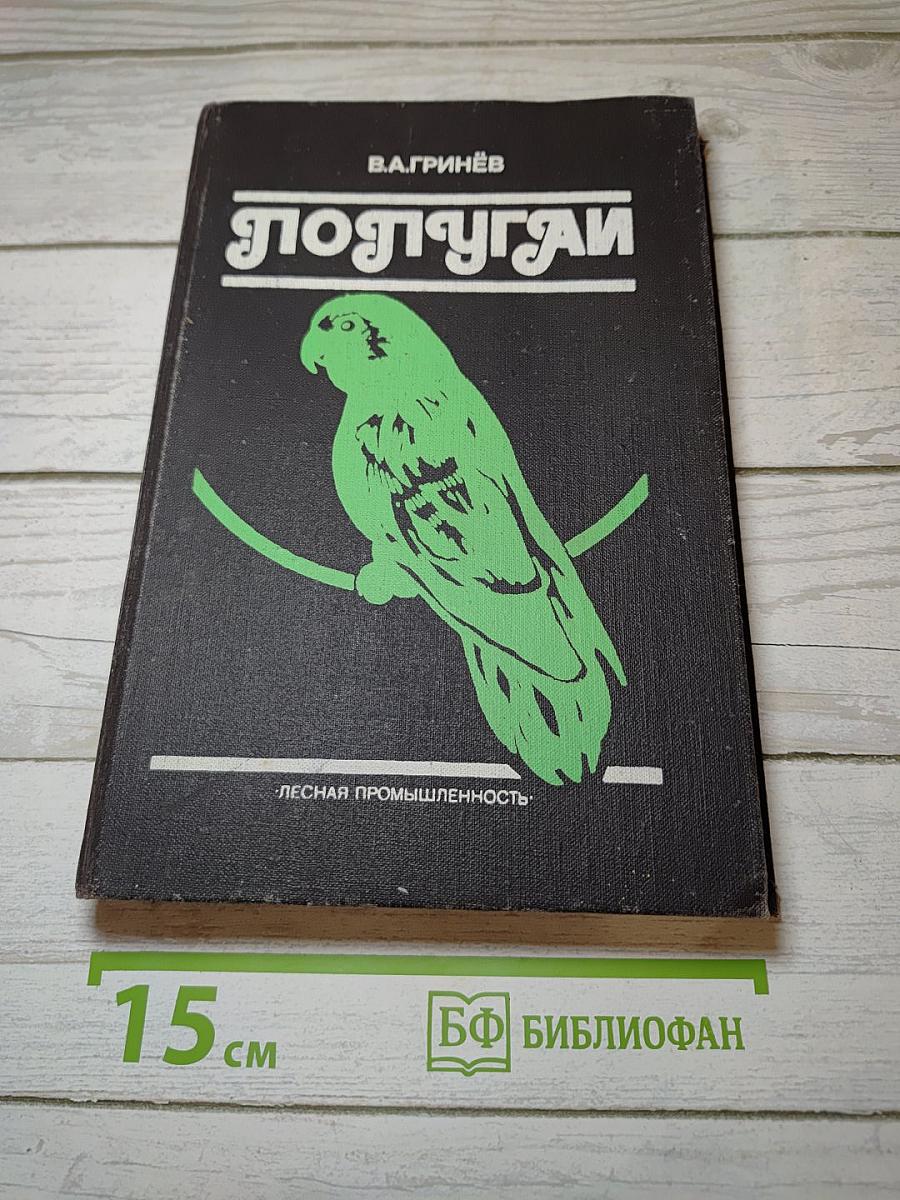 Попугай