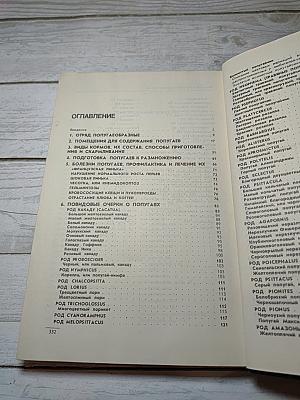 Попугай