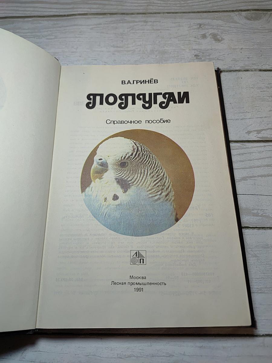 Попугай