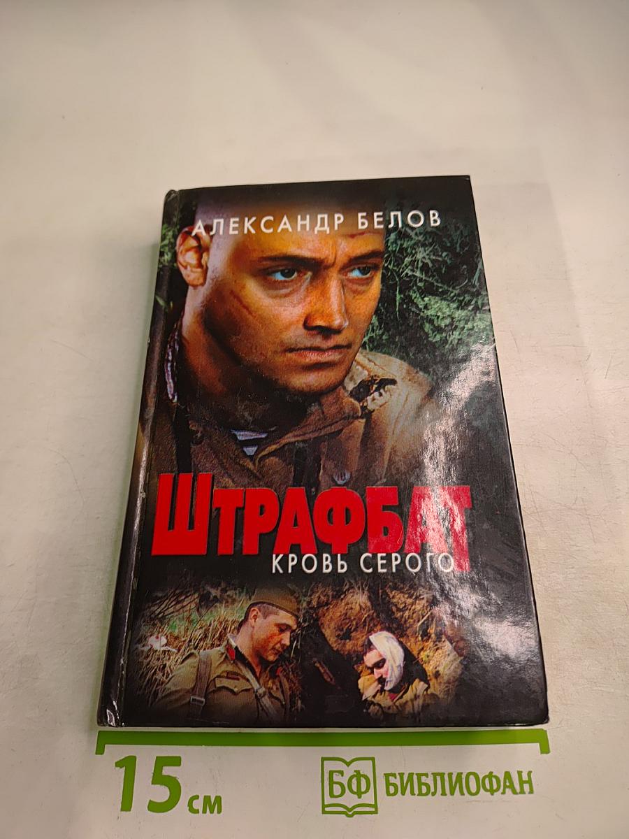 Штрафбат. Кровь Серого