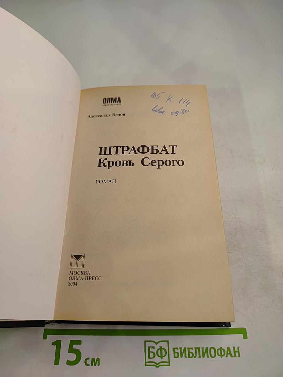 Штрафбат. Кровь Серого