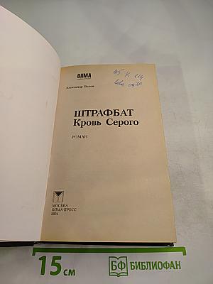 Штрафбат. Кровь Серого