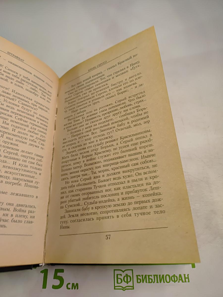 Штрафбат. Кровь Серого