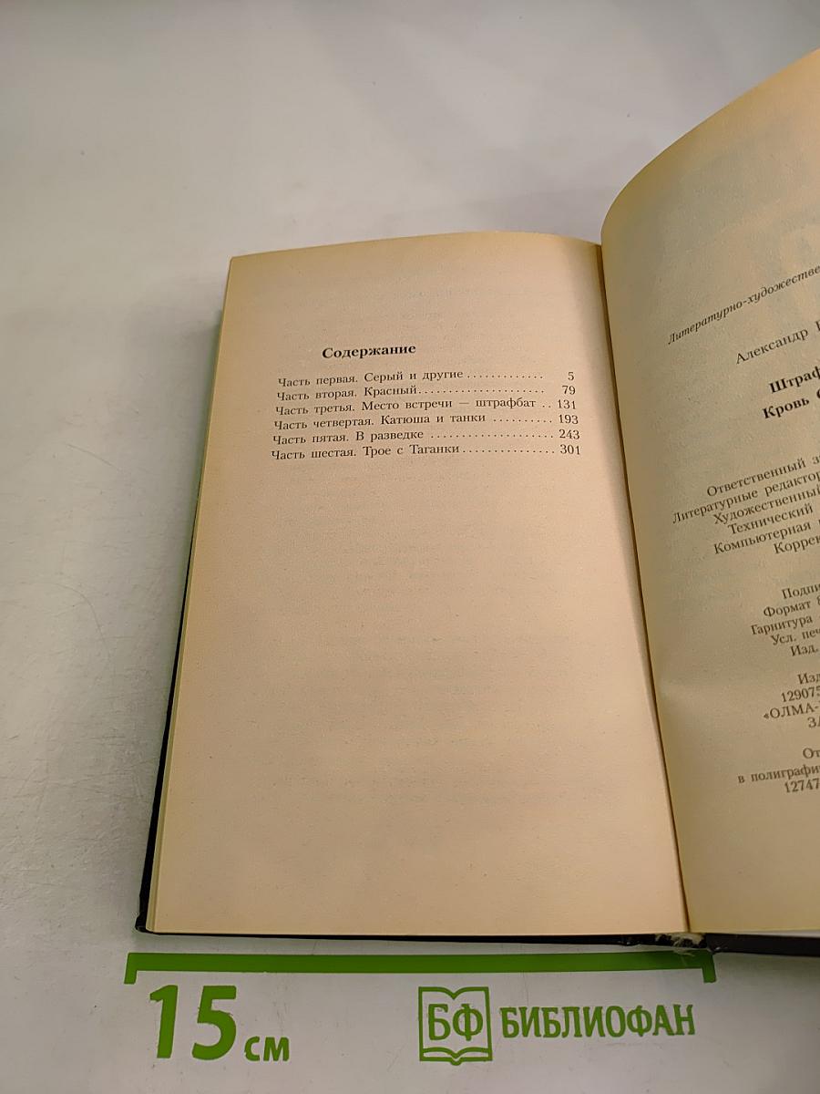 Штрафбат. Кровь Серого