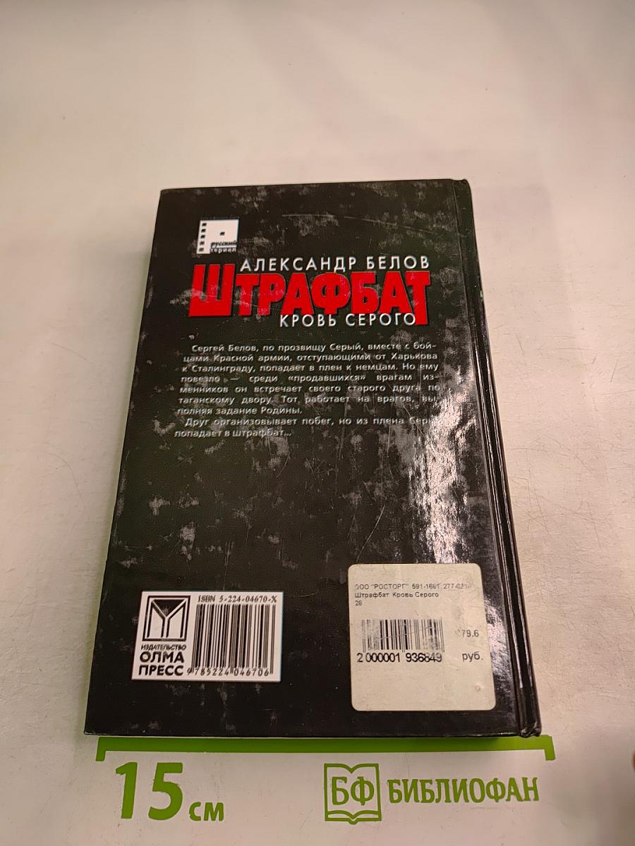 Штрафбат. Кровь Серого