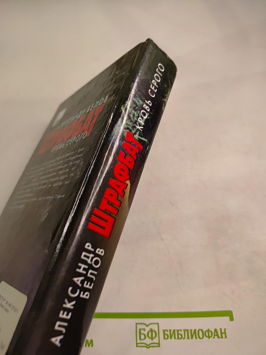 Штрафбат. Кровь Серого