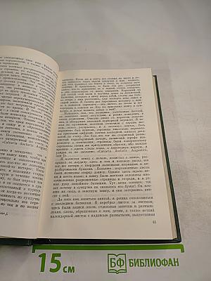 Лесная тропа