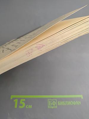 Донжуанский список Пушкина. Главы из биографии