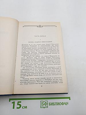 Воля судьбы. Записки прадеда
