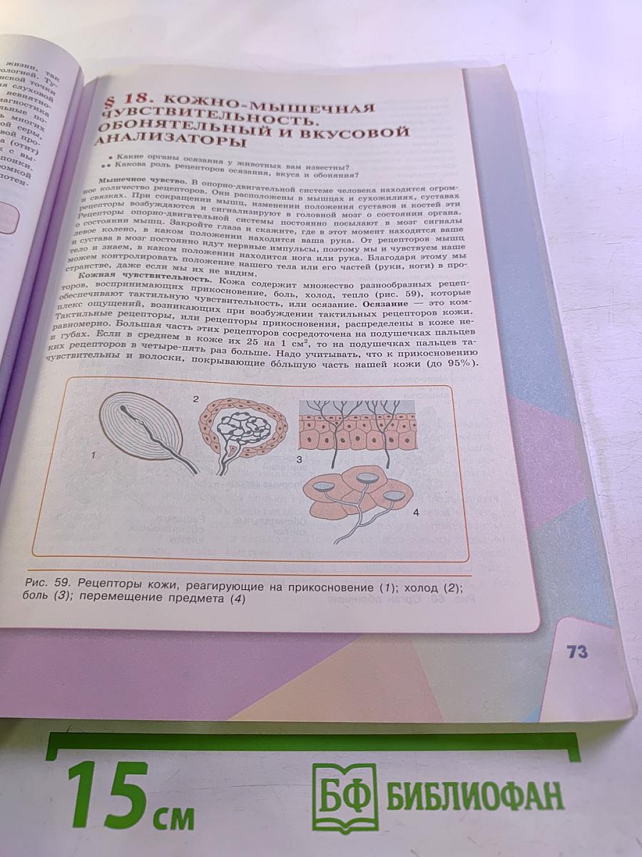 Биология 8 класс