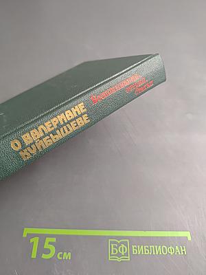 О Валериане Куйбышеве. Воспоминания, очерки, статьи