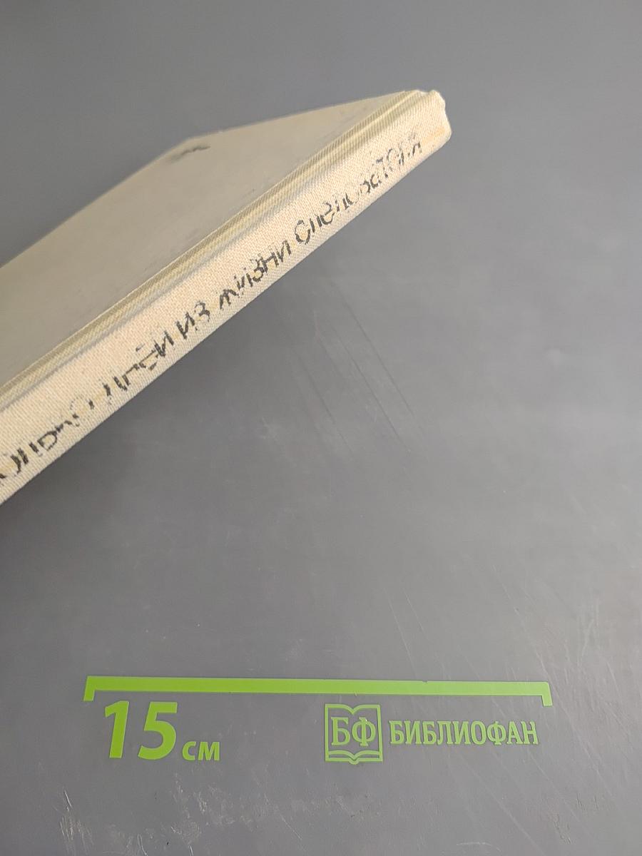 Несколько дней из жизни следователя