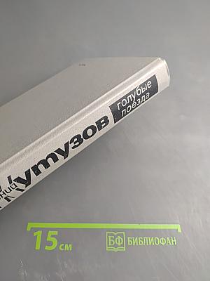 Голубые поезда