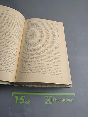 Воскресение. Крейцерова соната