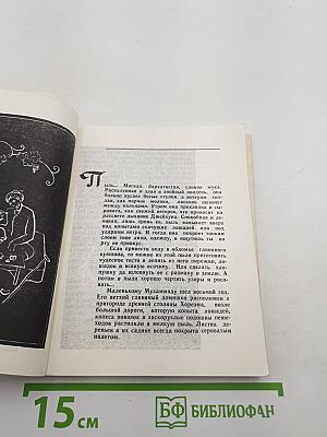 Абу Райхан. Новеллы о Беруни
