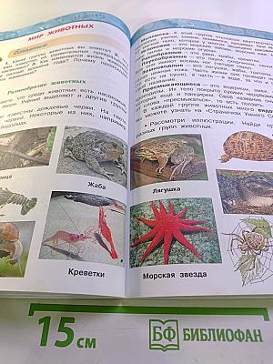 Окружающий мир 3 класс Часть первая