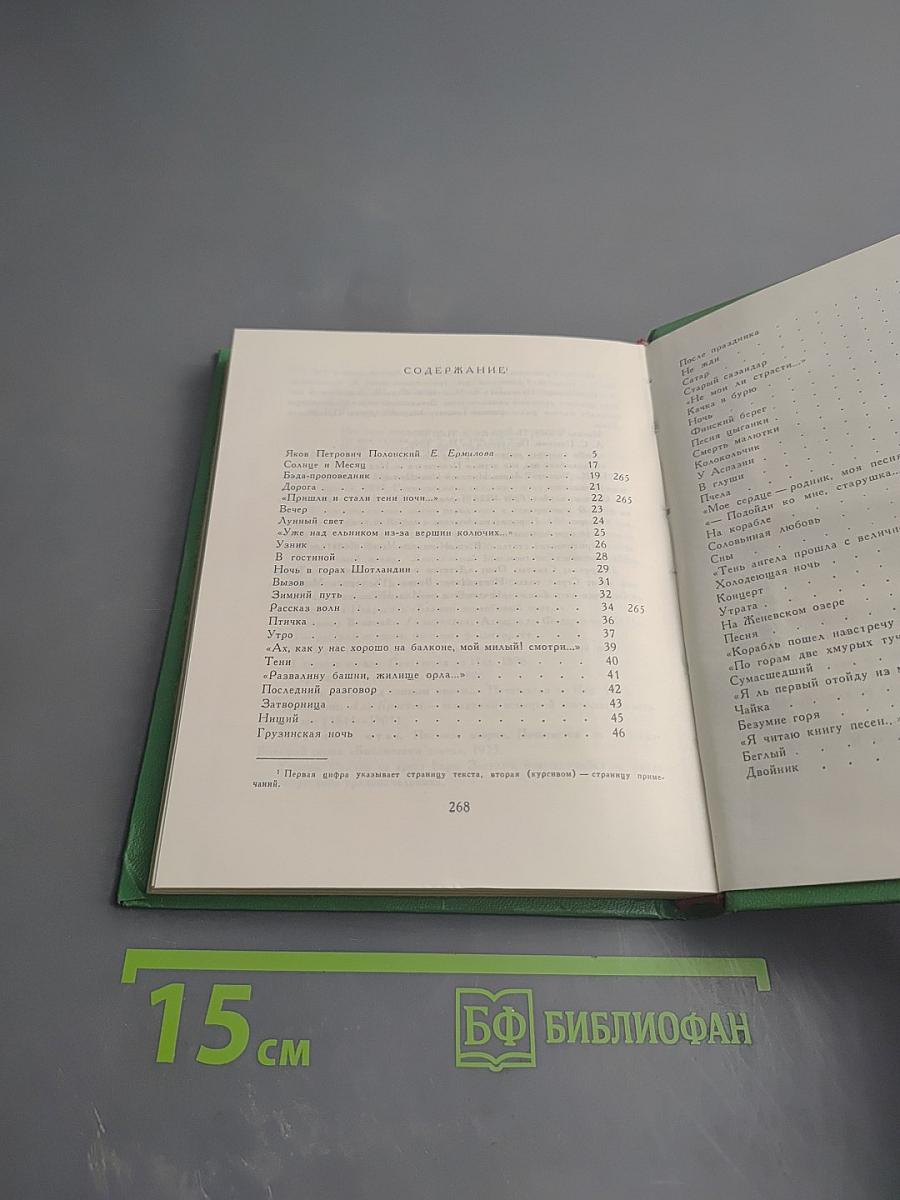 Поэтическая Россия. Яков Полонский. Стихотворения