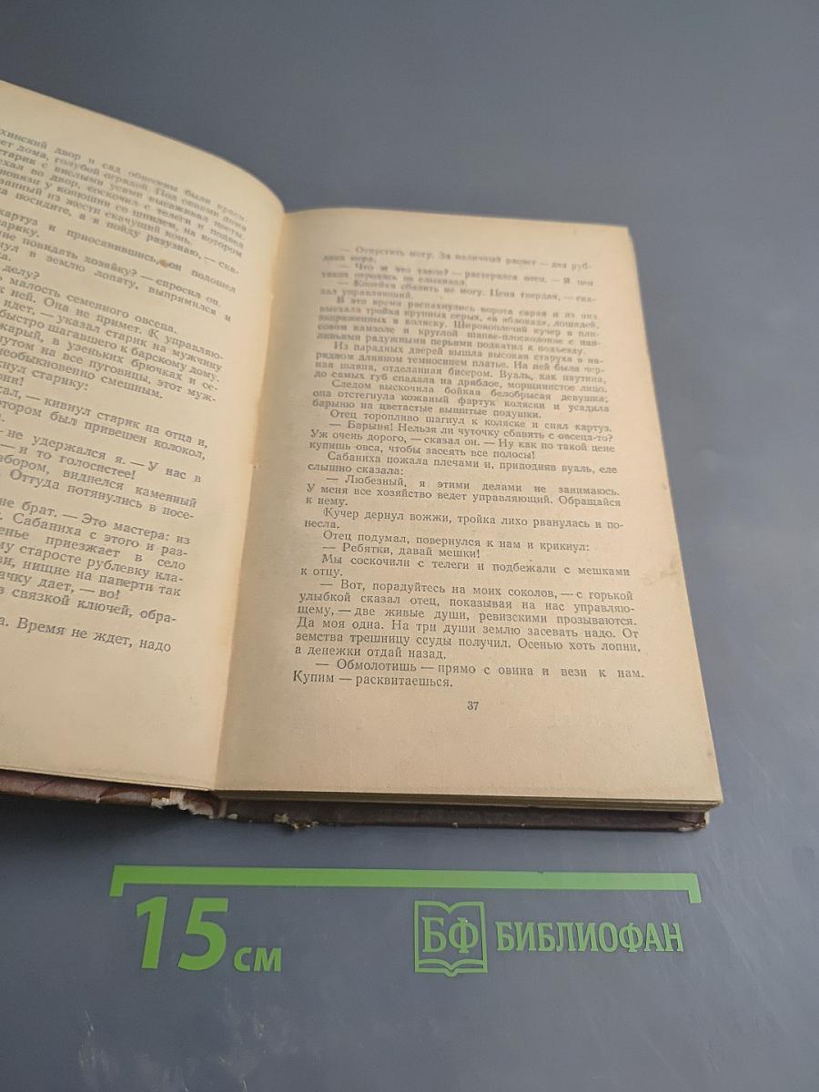 Перед рассветом