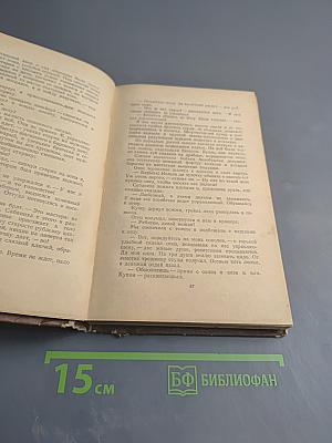 Перед рассветом