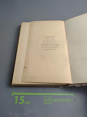 Перед рассветом