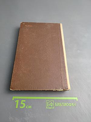 Перед рассветом