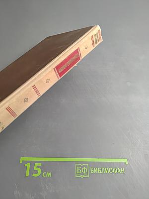 Перед рассветом