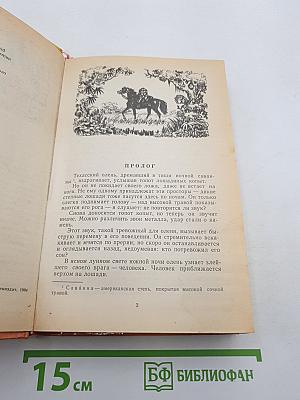 Всадник без головы