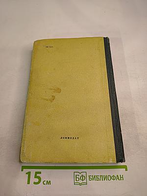 Взрослые и Дети