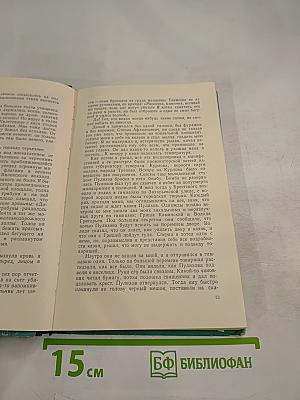 Полет сквозь годы