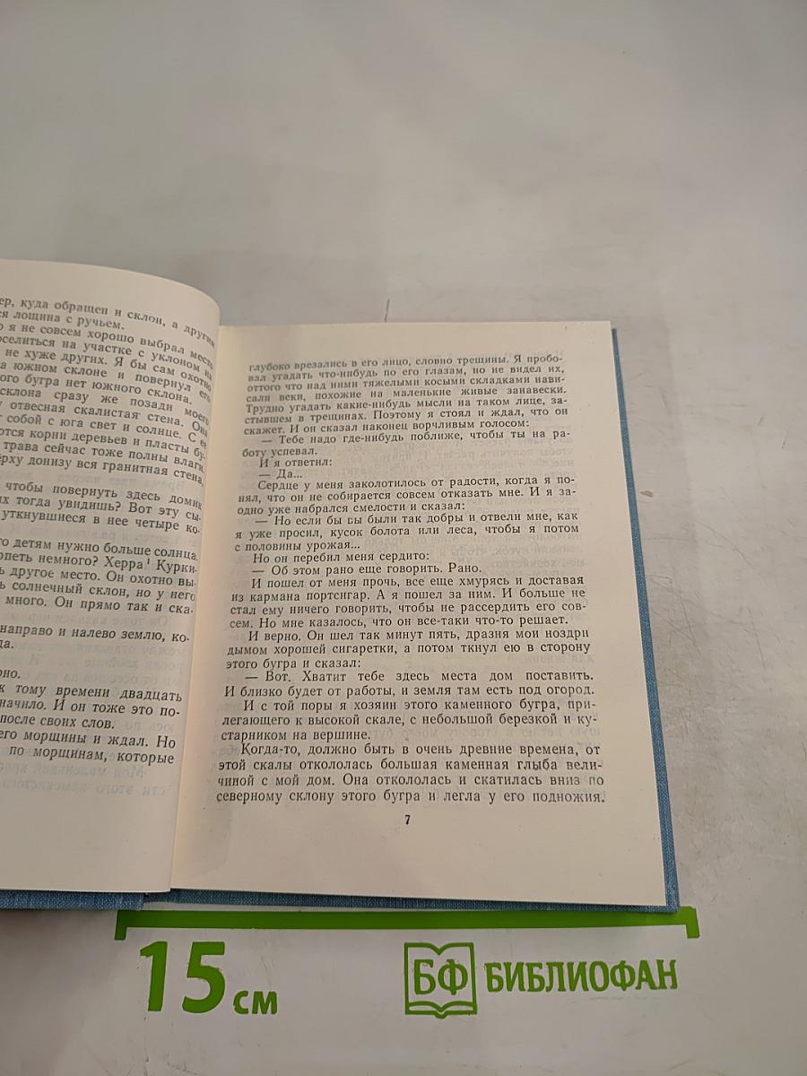 Ветер с юга. Мать