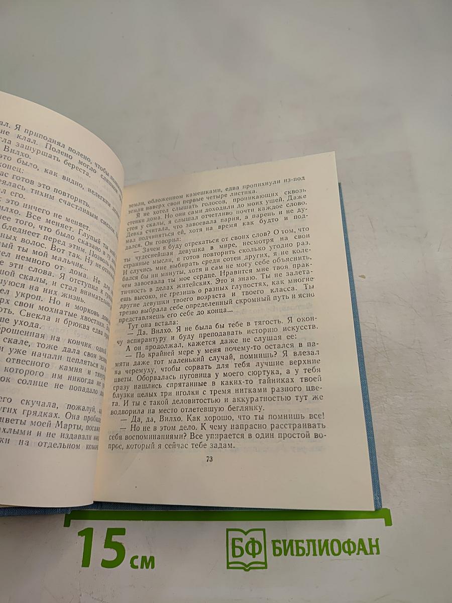 Ветер с юга. Мать