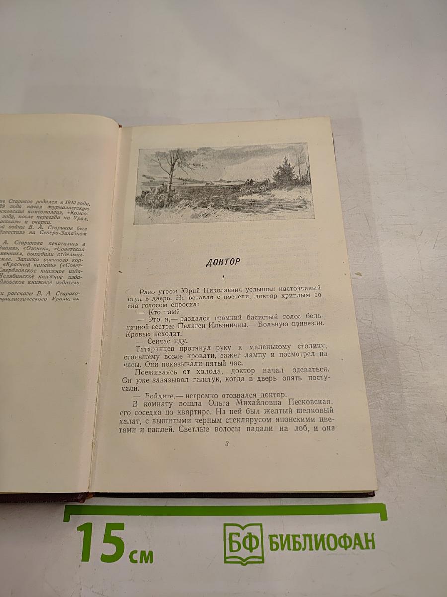 Рябиновая ветка. Рассказы