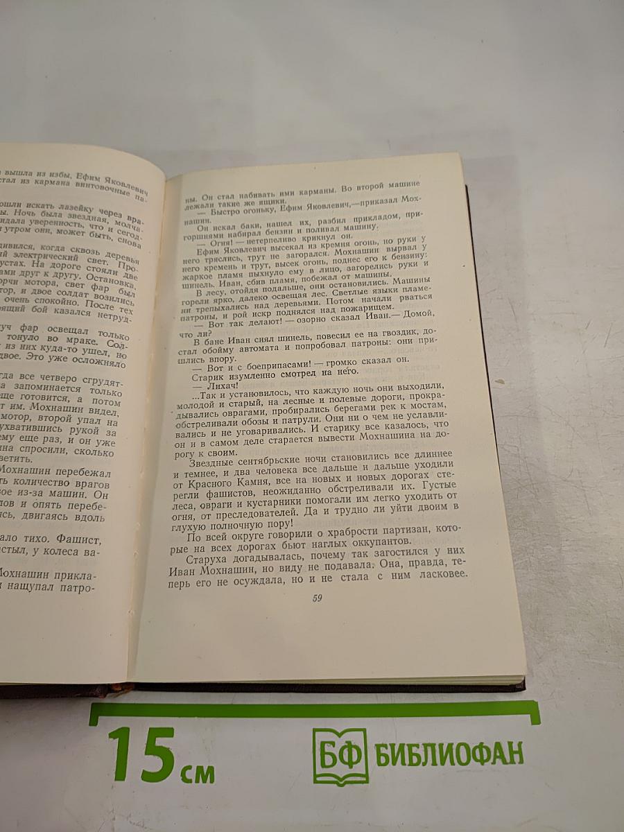 Рябиновая ветка. Рассказы