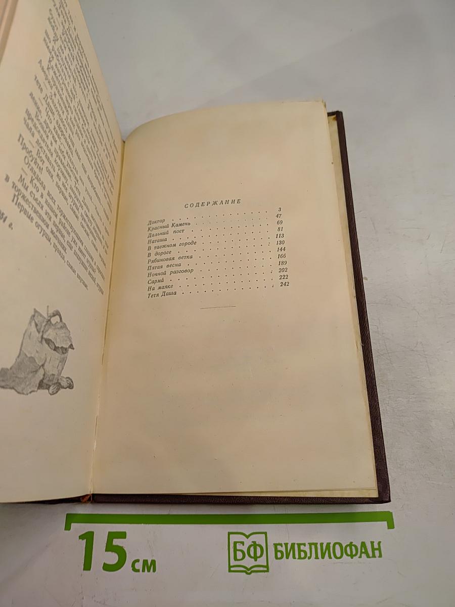 Рябиновая ветка. Рассказы