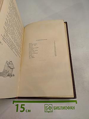 Рябиновая ветка. Рассказы